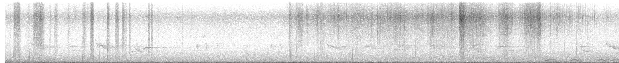 Barred Owl - ML652594400