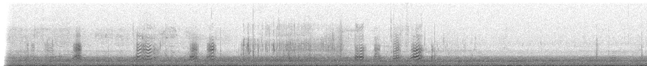 Bufflehead - ML652594651