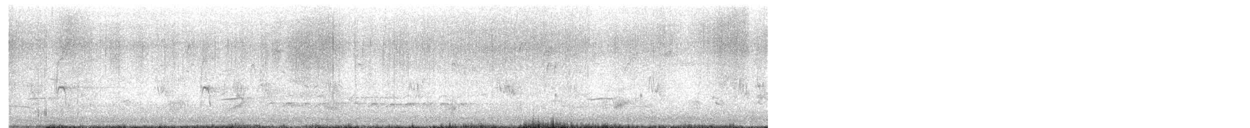 Каролинский поползень (carolinensis) - ML652595808