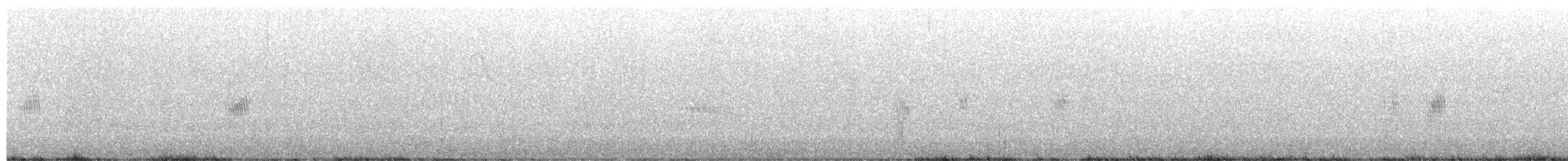 White-winged Swallow - ML652598250