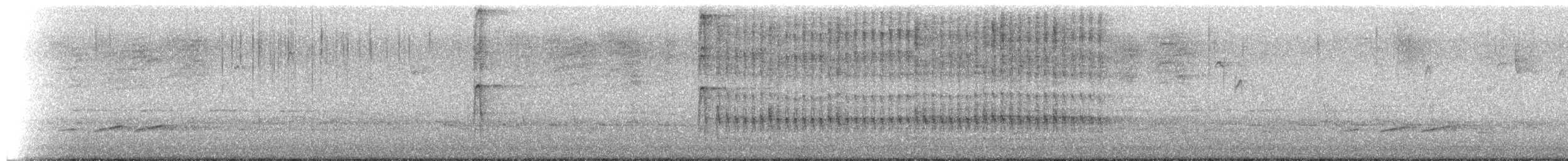 Hairy Woodpecker (Eastern) - ML652604615