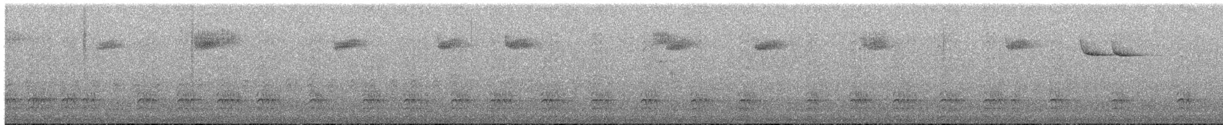 Каролинский поползень [группа lagunae] - ML652605556