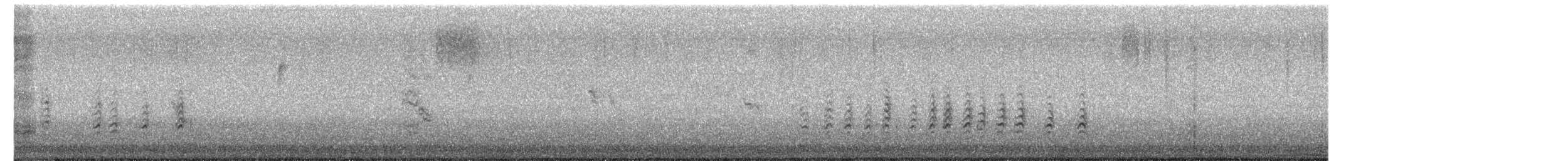 Sittelle à poitrine rousse - ML652612851