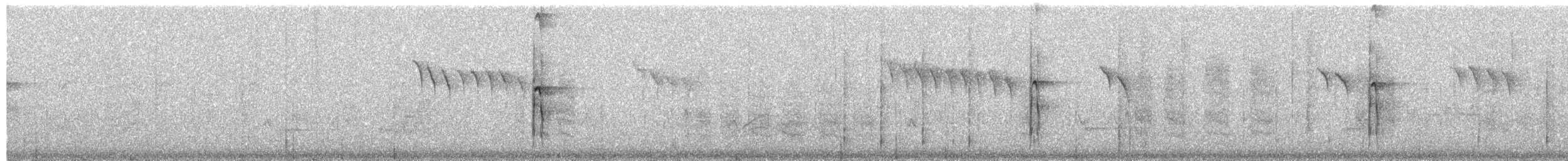 Hairy Woodpecker - ML652613552