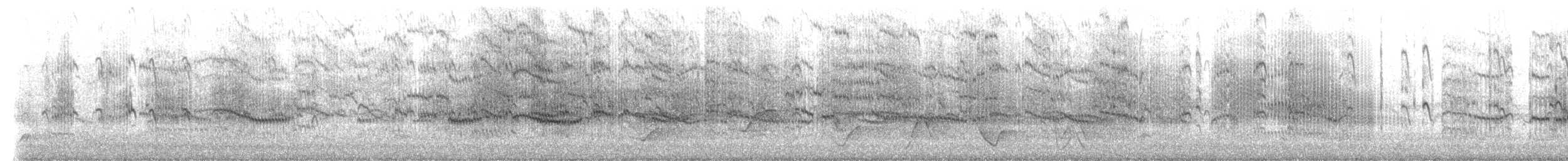 rybák obecný - ML652615940