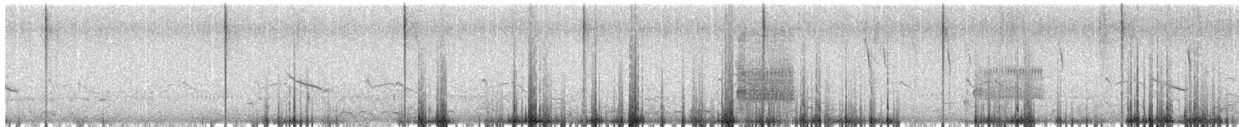 Oie rieuse - ML652616730