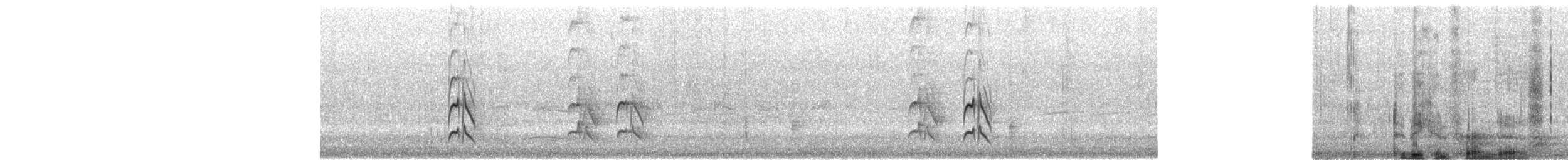 パナマヒタキモドキ - ML652617982