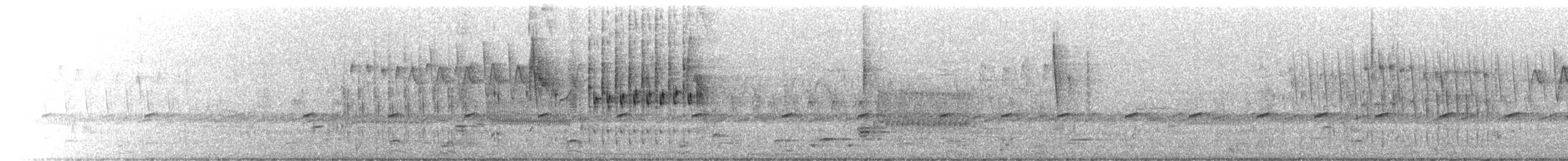 Troglodyte des marais - ML652618113