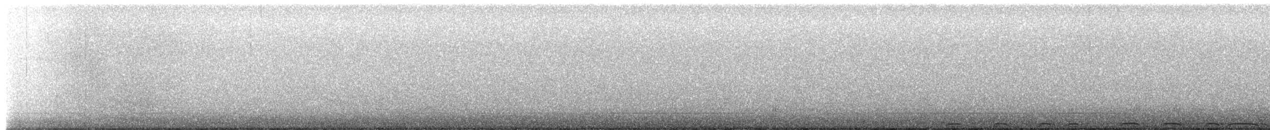 Barred Owl - ML652621115