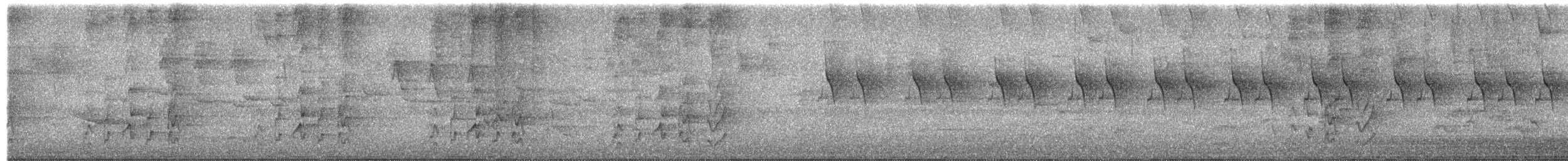 Fächerschwanzkuckuck - ML652626291