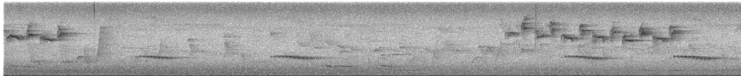 Fächerschwanzkuckuck - ML652626327