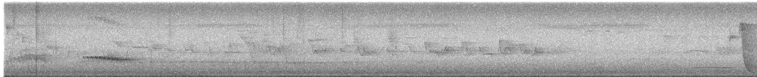 Blasskopfsittich - ML652626371