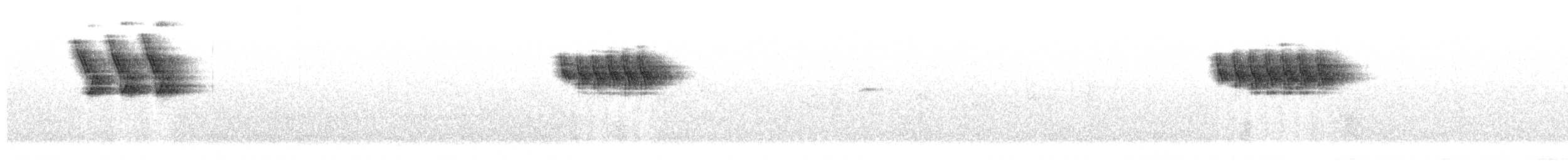 Плиска гірська - ML652631634