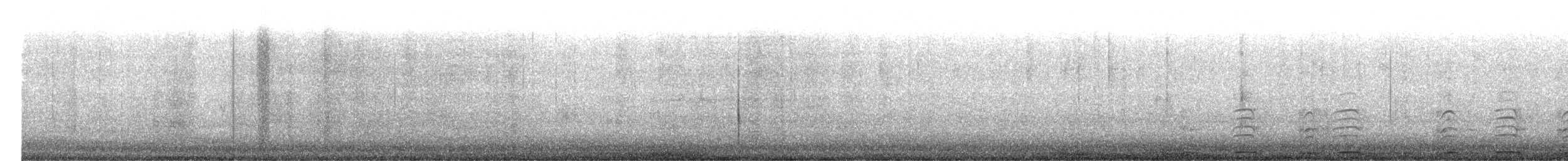 Barred Owl - ML652644262