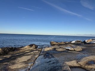 Halibut Point SP, Essex, Massachusetts, United States - eBird Hotspot