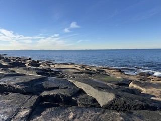 Halibut Point SP, Essex, Massachusetts, United States - eBird Hotspot