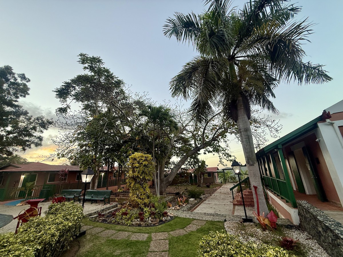 null - ML652649294