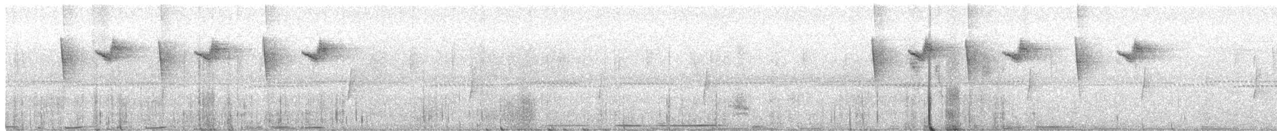 Rufous-tailed Hummingbird - ML652650916