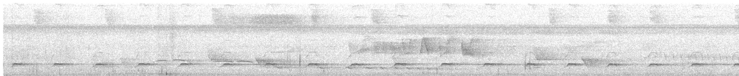 Batara des fourrés - ML652651483