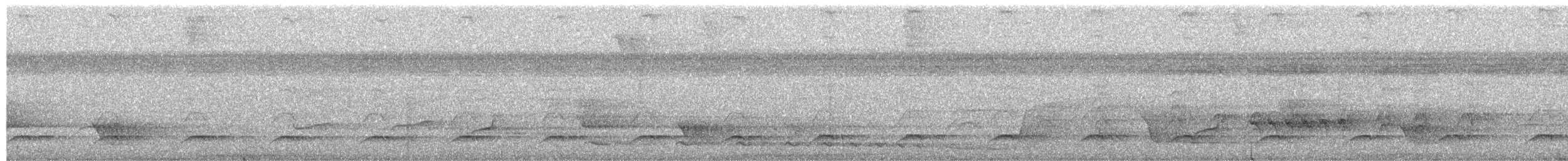 Batara des fourrés - ML652651484