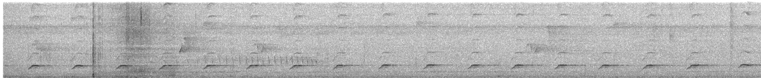 Batara des fourrés - ML652651485