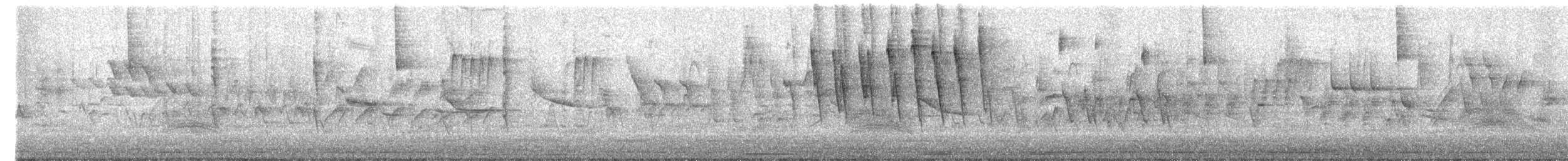 Малая вильсония - ML652656663