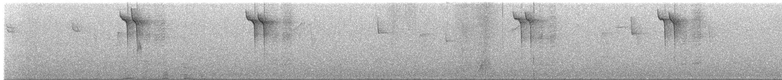 Barred Owl - ML652658195