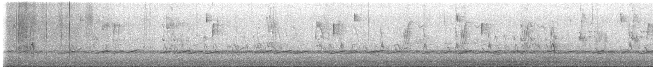 American Woodcock - ML652665578