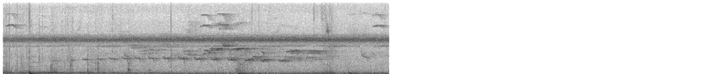 ココアオニキバシリ - ML652668367