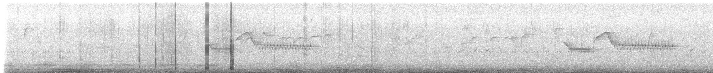 langstjertsmett - ML652670304