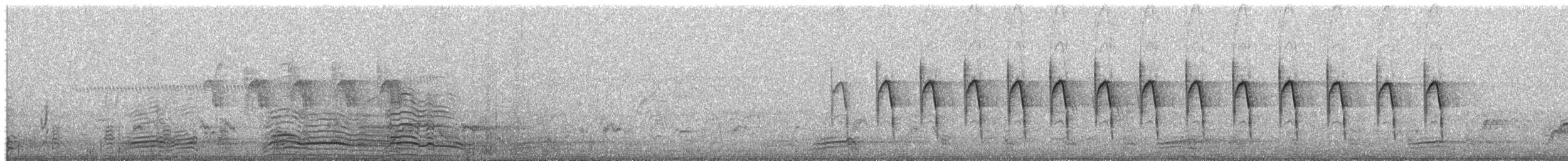 Tawny-flanked Prinia - ML652671017