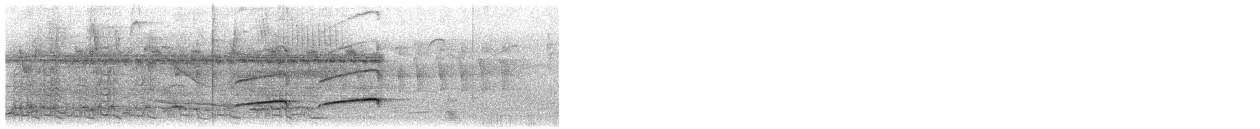 Common Scale-backed Antbird - ML652672384