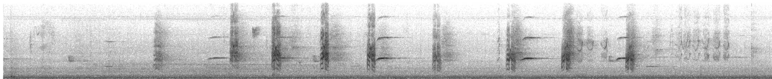 Perico Elegante (grupo elegans) - ML652679013