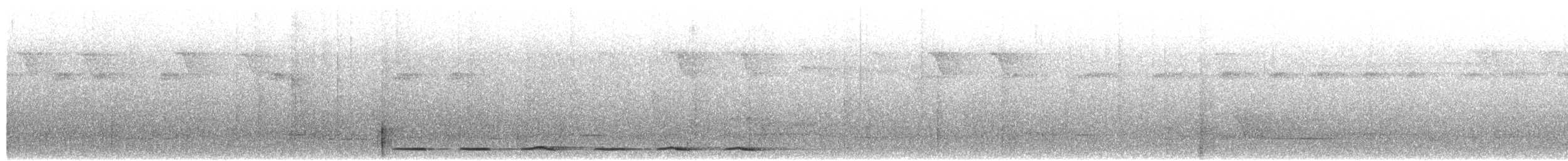 Spotted Antpitta - ML652679840