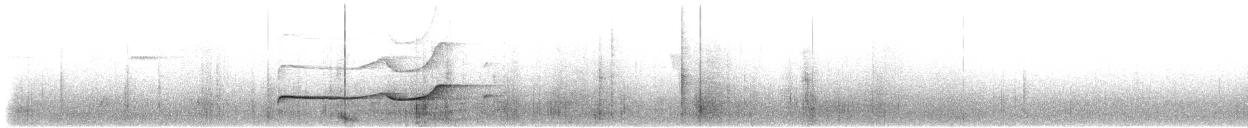 Olivaceous Schiffornis - ML652680227