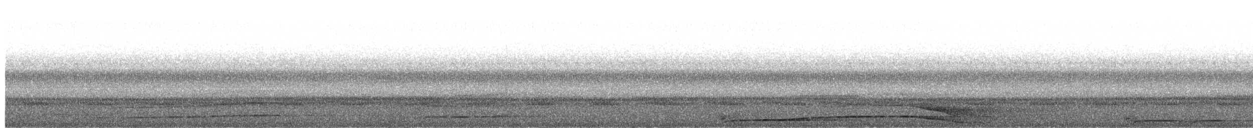 Barred Owl - ML652681213