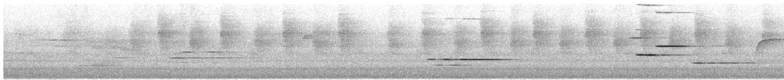 ズグロヒトリツグミ - ML652681577