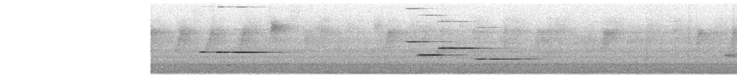 ズグロヒトリツグミ - ML652681578