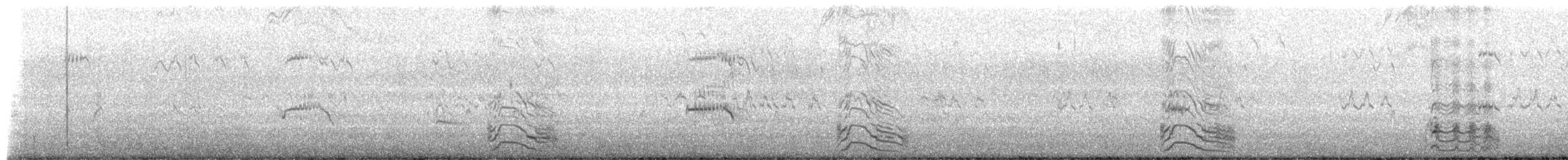 Ostrero Pío Australiano - ML652683439