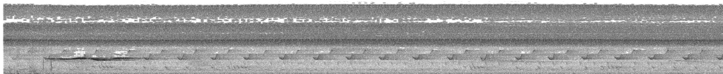 Белоухая тимелия - ML652683656