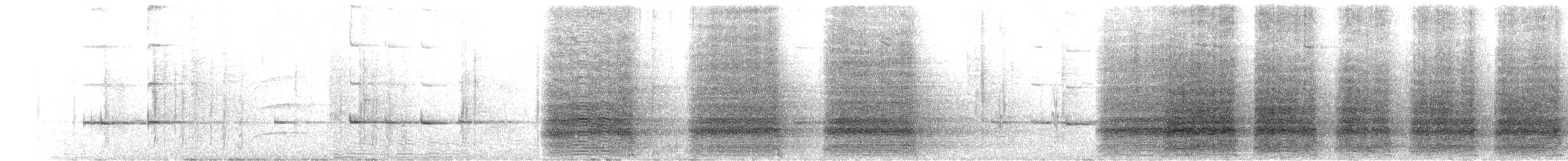 Sulphur-crested Cockatoo - ML652684588