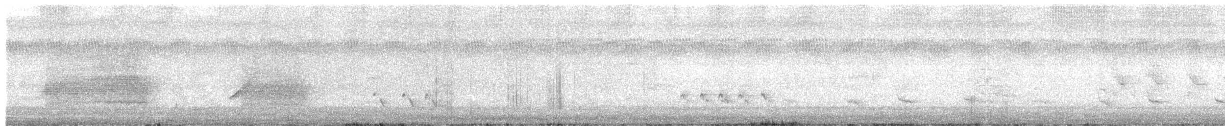 Elanio Australiano - ML652687184