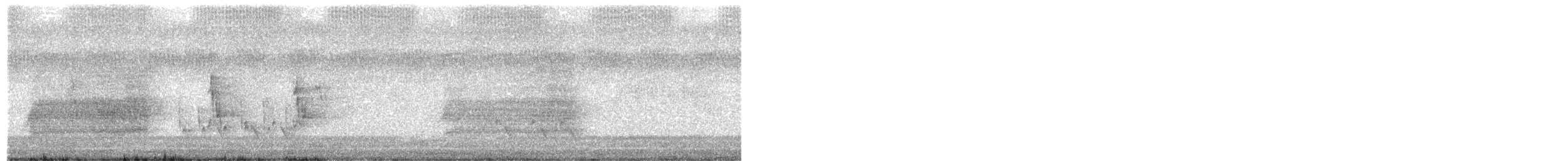 Elanio Australiano - ML652687185