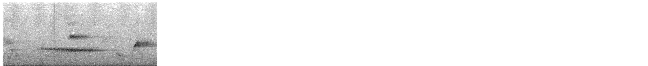 Cuco Flabeliforme - ML652687222