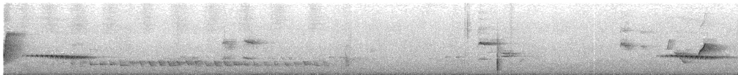 Cuco Flabeliforme - ML652687224