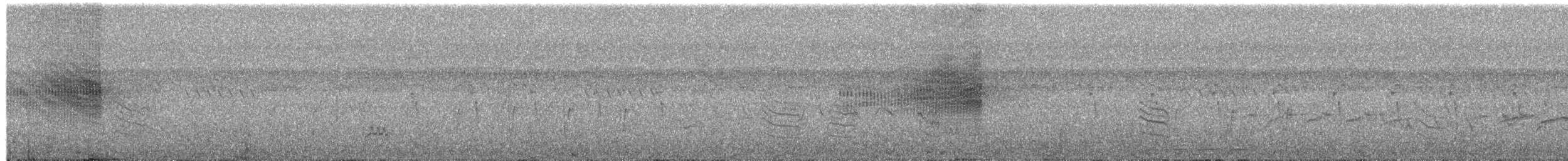 Winding Cisticola - ML652688197