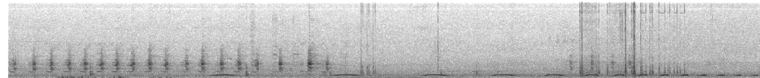 Tilopo Reina - ML652688437