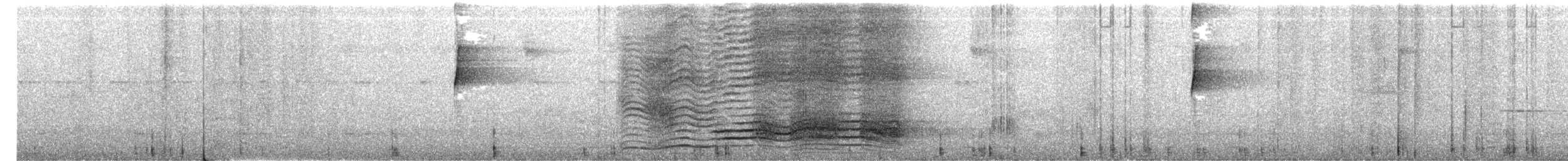 Maullador Verde - ML652688483