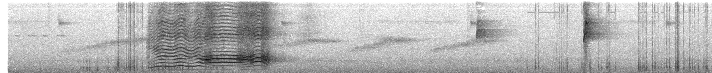 Maullador Verde - ML652688484