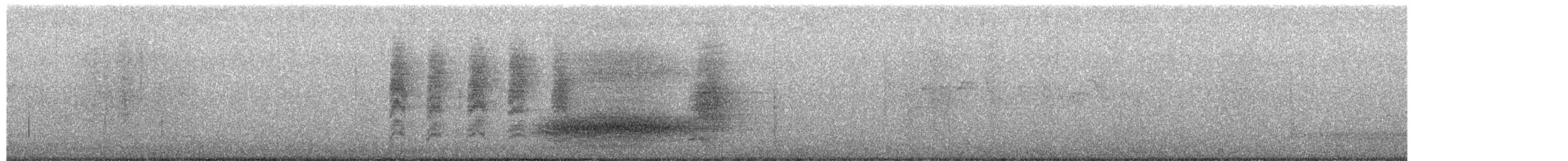 Ave del Paraíso Festoneada - ML652688785